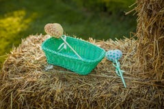 Cukierku bar na ślubnej ceremonii zdjęcie stock Cukierku bar na ślubnej ceremonii zdjęcie stock
