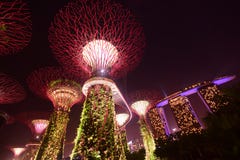 Cultive un huerto por la bahía Singapur con la luz roja y Marina Bay Sands Hotel a la derecha imagen de archivo Cultive un huerto por la bahía Singapur con la luz roja y Marina Bay Sands Hotel a la derecha imagen de archivo