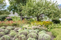 Cultivez avec le jardin et le pommier en automne Image stock Cultivez avec le jardin et le pommier en automne Image stock