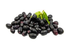 Cumini Syzygium стоковые изображения rf Cumini Syzygium стоковые изображения rf