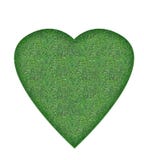 Cuore verde illustrazione vettoriale Cuore verde illustrazione vettoriale