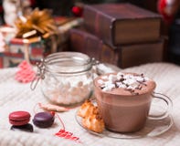 Cup Of Cocoa Royalty Free Stock Photography
