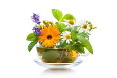 Cup Of Herbal Tea Stock Photos Cup Of Herbal Tea Stock Photos