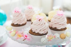 cupcake imagens de stock royalty free cupcake imagens de stock royalty free