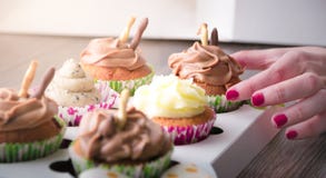 Cupcake packaging, delivery box, vanilla cupcakes, chocolate and white cream stock photos Cupcake packaging, delivery box, vanilla cupcakes, chocolate and white cream stock photos