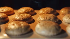 Cupcake Ψήσιμο στο φούρνο Μήκος σε πόδηα χρονικού σφάλματος του μαγειρέματος muffins 4k, UHD απόθεμα βίντεο Cupcake Ψήσιμο στο φούρνο Μήκος σε πόδηα χρονικού σφάλματος του μαγειρέματος muffins 4k, UHD απόθεμα βίντεο