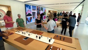 Apple store at company campus in silicone valley, Infinity loop one