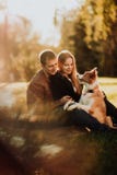 Cuple mignon avec le chien border collie sur le champ vert en parc sous l'arbre en soleil photo libre de droits Cuple mignon avec le chien border collie sur le champ vert en parc sous l'arbre en soleil photo libre de droits