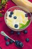 Curd avec le melon, les myrtilles et un brin de menthe Fond en bois Vue supérieure Plan rapproché image stock Curd avec le melon, les myrtilles et un brin de menthe Fond en bois Vue supérieure Plan rapproché image stock