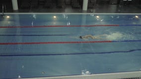 Curso de rastejamento de flutuação do nadador profissional fêmea na piscina do luxo da água video estoque Curso de rastejamento de flutuação do nadador profissional fêmea na piscina do luxo da água video estoque