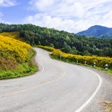 Curve Road On A Mountain Stock Photography