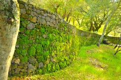 Curved Retaining Wall Stock Image Curved Retaining Wall Stock Image