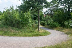 Curvygang in het park stock afbeelding Curvygang in het park stock afbeelding