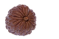 Custard Apple, Isolated stock photo Custard Apple, Isolated stock photo