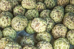 Custard apples Annona reticulata royalty free stock photos Custard apples Annona reticulata royalty free stock photos