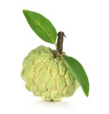 Custard jabłko odizolowywający na białym tle, annona fotografia stock Custard jabłko odizolowywający na białym tle, annona fotografia stock