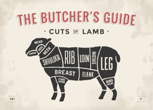 Cut of beef set. Poster Butcher diagram and scheme - Lamb. Vintage typographic hand-drawn. Vector illustration.
