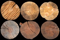 Cut Pine Logs. Log End Face Isolated Stock Image Cut Pine Logs. Log End Face Isolated Stock Image