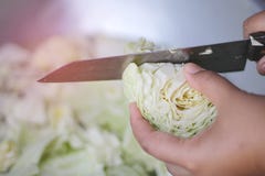 Turned vegetables to cook in open spaces royalty free stock photo Turned vegetables to cook in open spaces royalty free stock photo