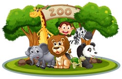 Cute Animals In The Zoo Stock Photos