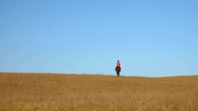 Girl rider riding a horse. Slow motion. Back view stock video footage Girl rider riding a horse. Slow motion. Back view stock video footage