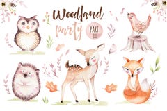 Cute baby fox, deer animal nursery bird and bear isolated illustration for children. Watercolor boho forest drawing