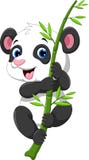 Cute Baby Panda Hanging On A Bamboo Tree Stock Photos