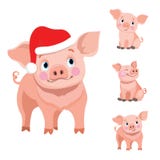 Set of cute baby pig cartoon royalty free illustration Set of cute baby pig cartoon royalty free illustration
