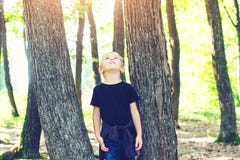 Cute Blond Boy Playing Between Tree Trunks In Sunny Park. Royalty Free Stock Image