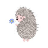 Cute cartoon hedgehog with a blue flower. royalty free illustration Cute cartoon hedgehog with a blue flower. royalty free illustration