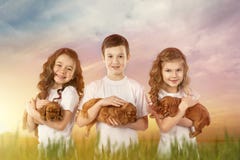 Cute children holding red puppies outdoor. Kids pet friendship royalty free stock photos Cute children holding red puppies outdoor. Kids pet friendship royalty free stock photos