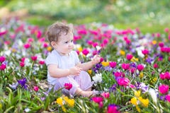 Cute curly little baby sitting between spring flowers stock image Cute curly little baby sitting between spring flowers stock image