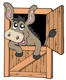 Cute donkey in stable