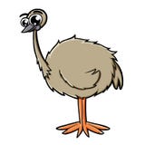 Cute Emu Stock Image