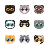 Cute face cats collection vector isolated royalty free illustration Cute face cats collection vector isolated royalty free illustration