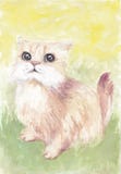 Cute fluffy long haired ginger cat stock illustration Cute fluffy long haired ginger cat stock illustration