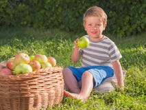 Cute kid eating fruits outdoor. Fruit garned. Basket full of ripe appels. royalty free stock photo Cute kid eating fruits outdoor. Fruit garned. Basket full of ripe appels. royalty free stock photo