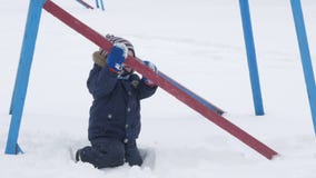 Cute little boy and young mother play in the winter with snow in the park. Blue kid`s jacket and red at mom. stock footage Cute little boy and young mother play in the winter with snow in the park. Blue kid`s jacket and red at mom. stock footage