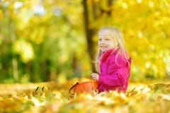 Cute little girl having fun on beautiful autumn day. Happy child playing in autumn park. Kid gathering yellow fall foliage. stock image Cute little girl having fun on beautiful autumn day. Happy child playing in autumn park. Kid gathering yellow fall foliage. stock image