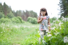 Cute little girl in the meadow Stock Photography Cute little girl in the meadow Stock Photography