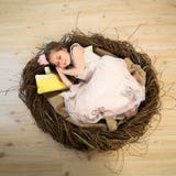 Cute little girl in a pink dress and a pink crown is sleeping in a big nest and sees fabulous dreams royalty free stock photos Cute little girl in a pink dress and a pink crown is sleeping in a big nest and sees fabulous dreams royalty free stock photos