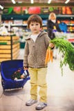 Cute little and proud boy helping with grocery shopping, healthy royalty free stock photos Cute little and proud boy helping with grocery shopping, healthy royalty free stock photos