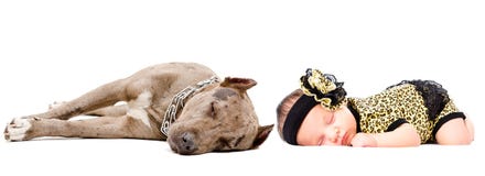 Cute newborn girl sleeping together with her dog a pit bull royalty free stock image Cute newborn girl sleeping together with her dog a pit bull royalty free stock image