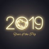 Cute pig neon logo, New year 2019 gold design, chinese horoscope Royalty Free Illustration Cute pig neon logo, New year 2019 gold design, chinese horoscope Royalty Free Illustration
