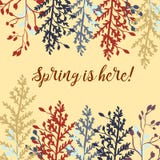 Cute rustic invitation in floral style, spring is here stock illustration Cute rustic invitation in floral style, spring is here stock illustration