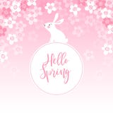 Cute spring greeting card, invitation with white rabbit, bunny and cherry tree blossoms. Easter concept. Pink vector Stock Photos Cute spring greeting card, invitation with white rabbit, bunny and cherry tree blossoms. Easter concept. Pink vector Stock Photos