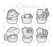 Succulent cactus Succulent cactus