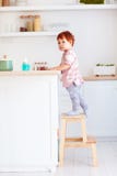 Cute toddler baby climbs on step stool, trying to reach things on the high desk on the kitchen. Cute toddler baby boy climbs on step stool, trying to reach Stock Photography Cute toddler baby climbs on step stool, trying to reach things on the high desk on the kitchen. Cute toddler baby boy climbs on step stool, trying to reach Stock Photography
