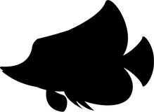 Free Free 292 Silhouette Cute Fish Svg SVG PNG EPS DXF File