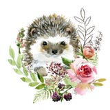 Cute watercolor cartoon hedgehog. forest animal illustration.